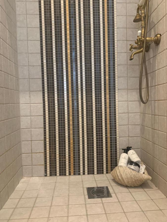 Apartment Elephant In My *
